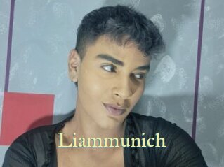 Liammunich