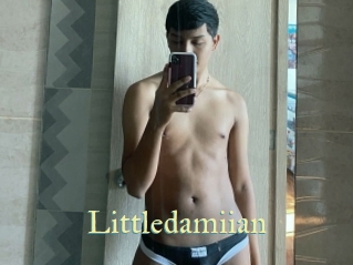 Littledamiian