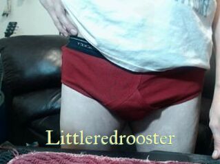 Littleredrooster