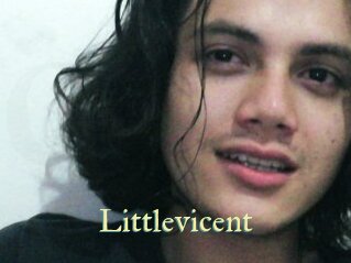 littlevicent Cube Lille