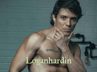 loganhardin Cube Lille