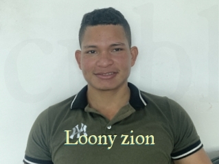 loony_zion Cube Lille