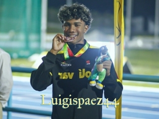Luigispaez44