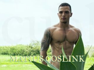 MATIUS_COSLINK