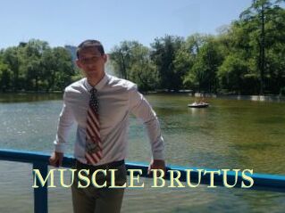 MUSCLE_BRUTUS Cube Lille