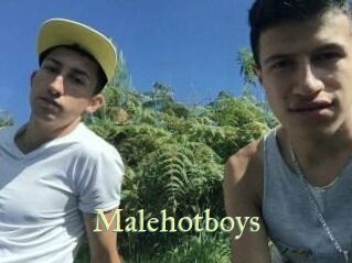 Malehotboys