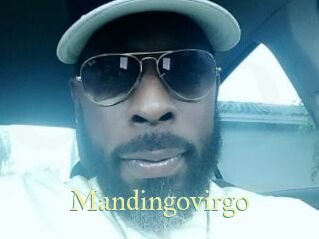 Mandingovirgo