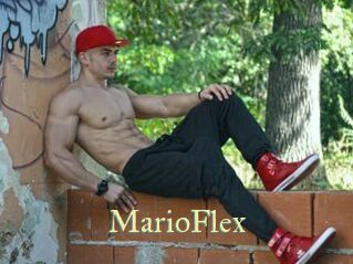 MarioFlex