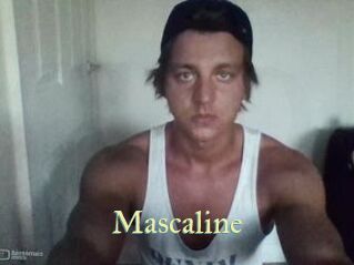 Mascaline Cube Lille