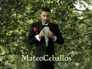 MateoCeballos