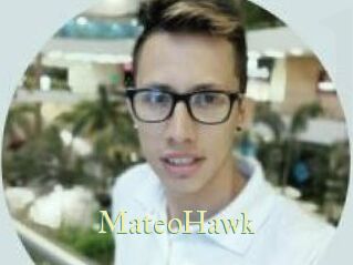 MateoHawk