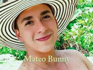 Mateo_Bunny