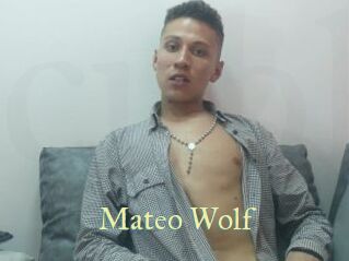 Mateo_Wolf