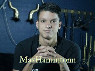 MaxHamintonn