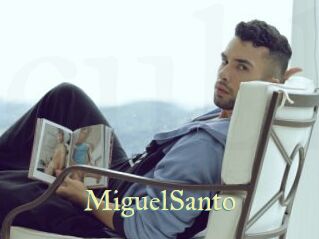 MiguelSanto