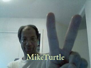 MikeTurtle
