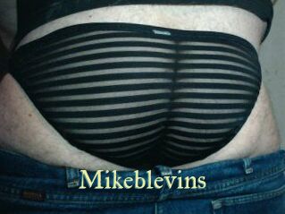 Mikeblevins