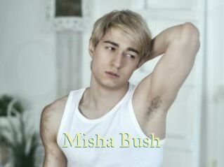 Misha_Bush