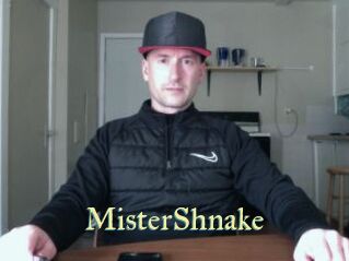 MisterShnake