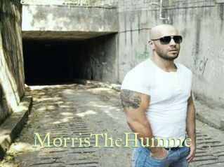 MorrisTheHumme