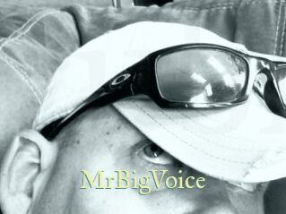 MrBigVoice