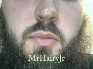 MrHairyJr