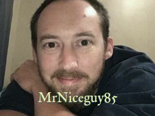 MrNiceguy85