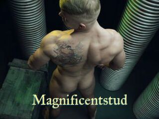 Magnificentstud