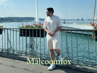 Malcoomfox