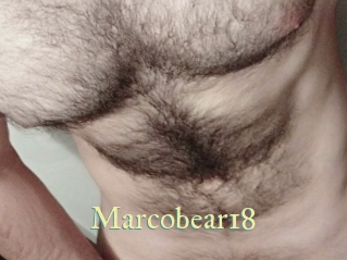 Marcobear18