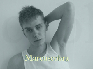 marcuscobra Cube Lille