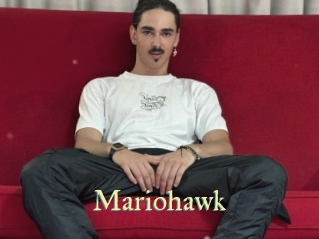 Mariohawk