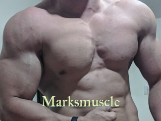 marksmuscle Cube Lille