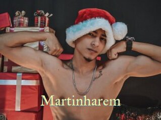 Martinharem