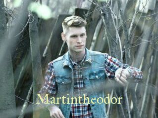 martintheodor Cube Lille