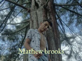 Mathew_brooks