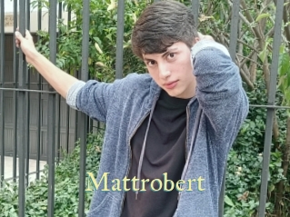 Mattrobert