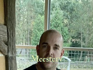 Meesterv