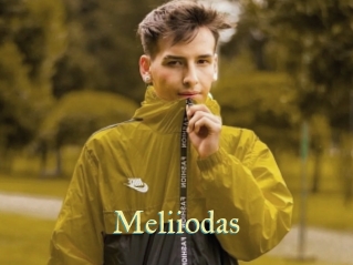 Meliiodas