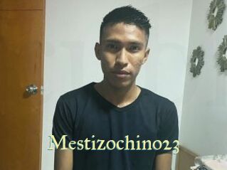 Mestizochino23
