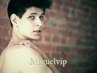 Miguelvip