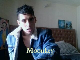 moonkey Cube Lille