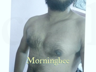 morningbee Cube Lille