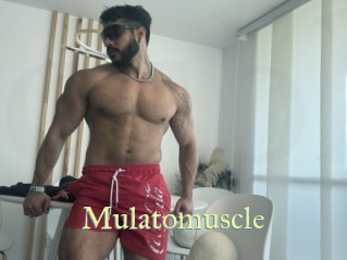 Mulatomuscle