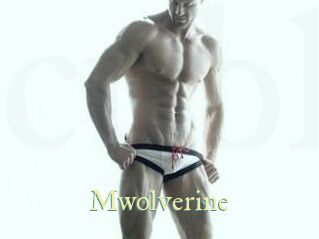 m_wolverine Cube Lille