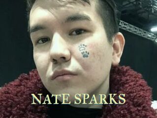 NATE_SPARKS