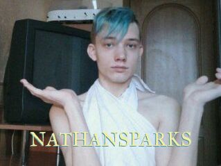 NATHAN_SPARKS