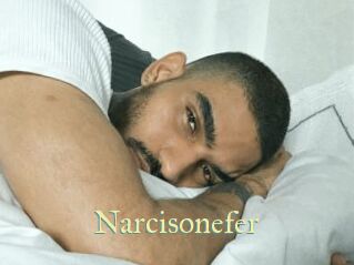 Narcisonefer