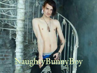 NaughtyBunnyBoy