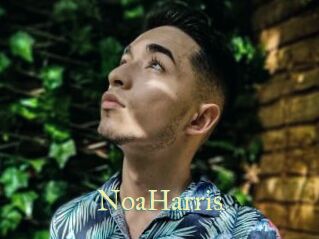 NoaHarris